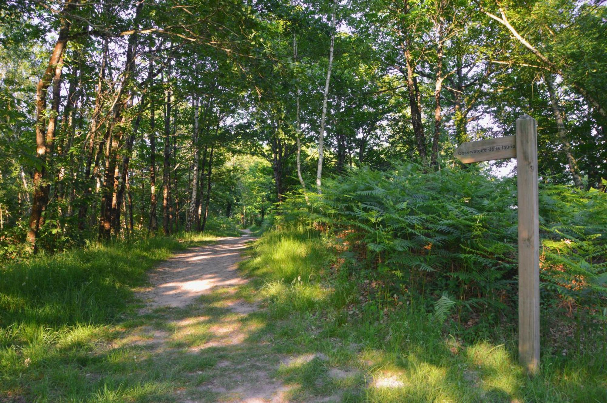 Le Clos Ecossais Aubigny-sur-Nère Extérieur photo